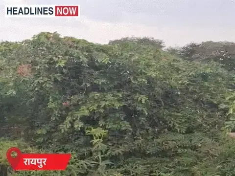 छत्तीसगढ़ में 'अर्नब' का असर, तेज हवाएं चल रही:रायपुर-गरियाबंद-रायगढ़ में बरसे बादल, कल स्कूलों में छुट्टी, 12 जिलों में भारी बारिश का अलर्ट