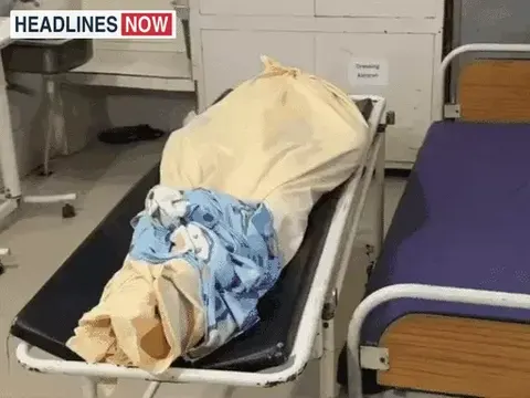 यमुनानगर में बाइक की टक्कर से बुजुर्ग व्यक्ति की मौत:भतीजे संग तहसील गए थे, 4 बच्चों के पिता; इलाज के दौरान तोड़ा दम