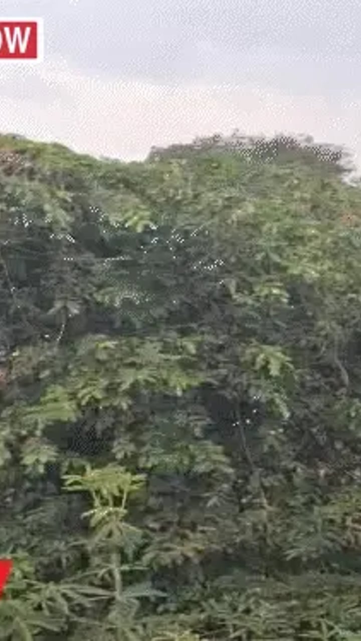 चक्रवाती तूफान अर्नब का असर, छत्तीसगढ़ के कई जिलों में रेड अलर्ट
